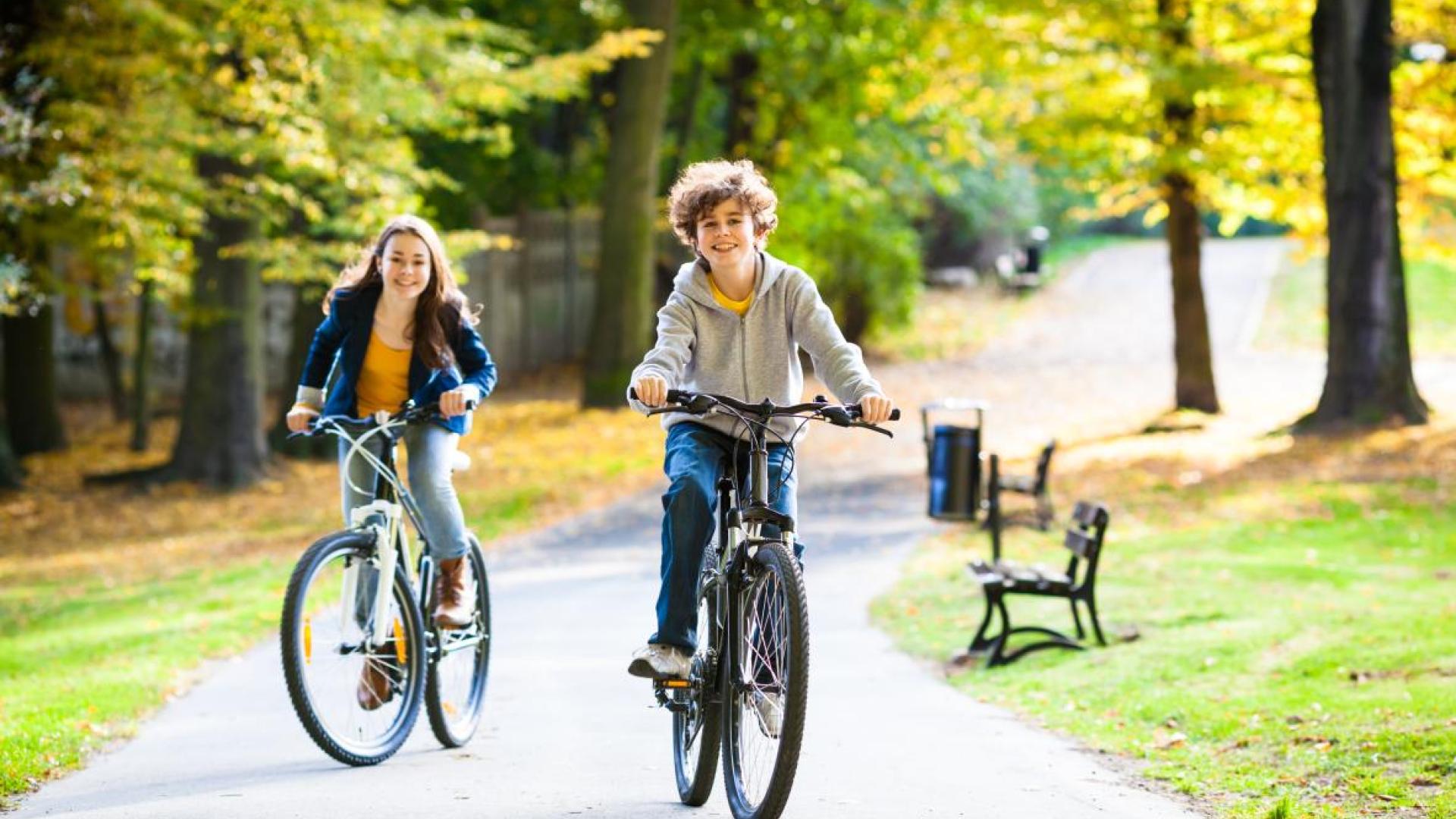 Fietsers