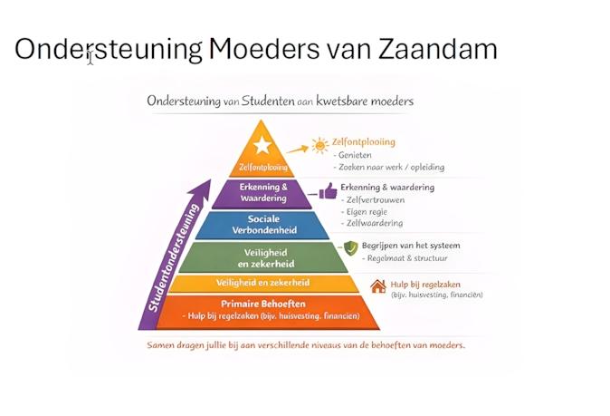 Schematische illustratie - Ondersteuning moeder van Zaandam